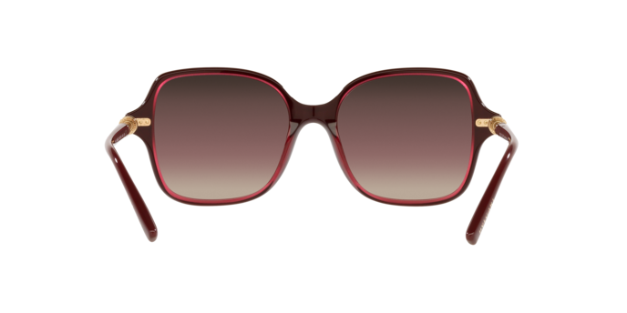 Bvlgari BV8239 5469E2  